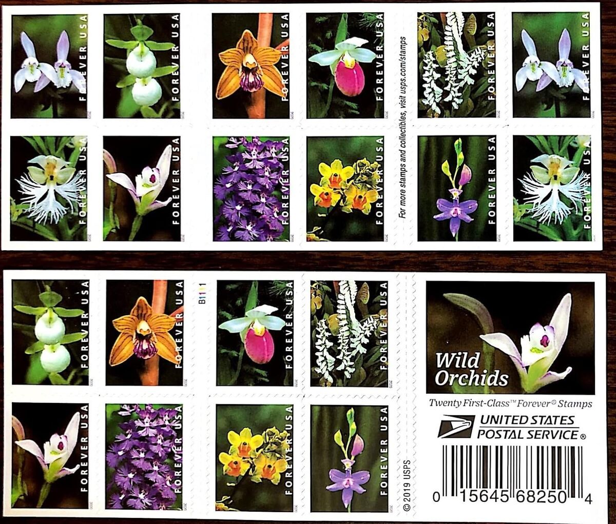 USPS Wild Orchids Flowers Forever Stamps Postal First Class US Postage Stamps 215064465