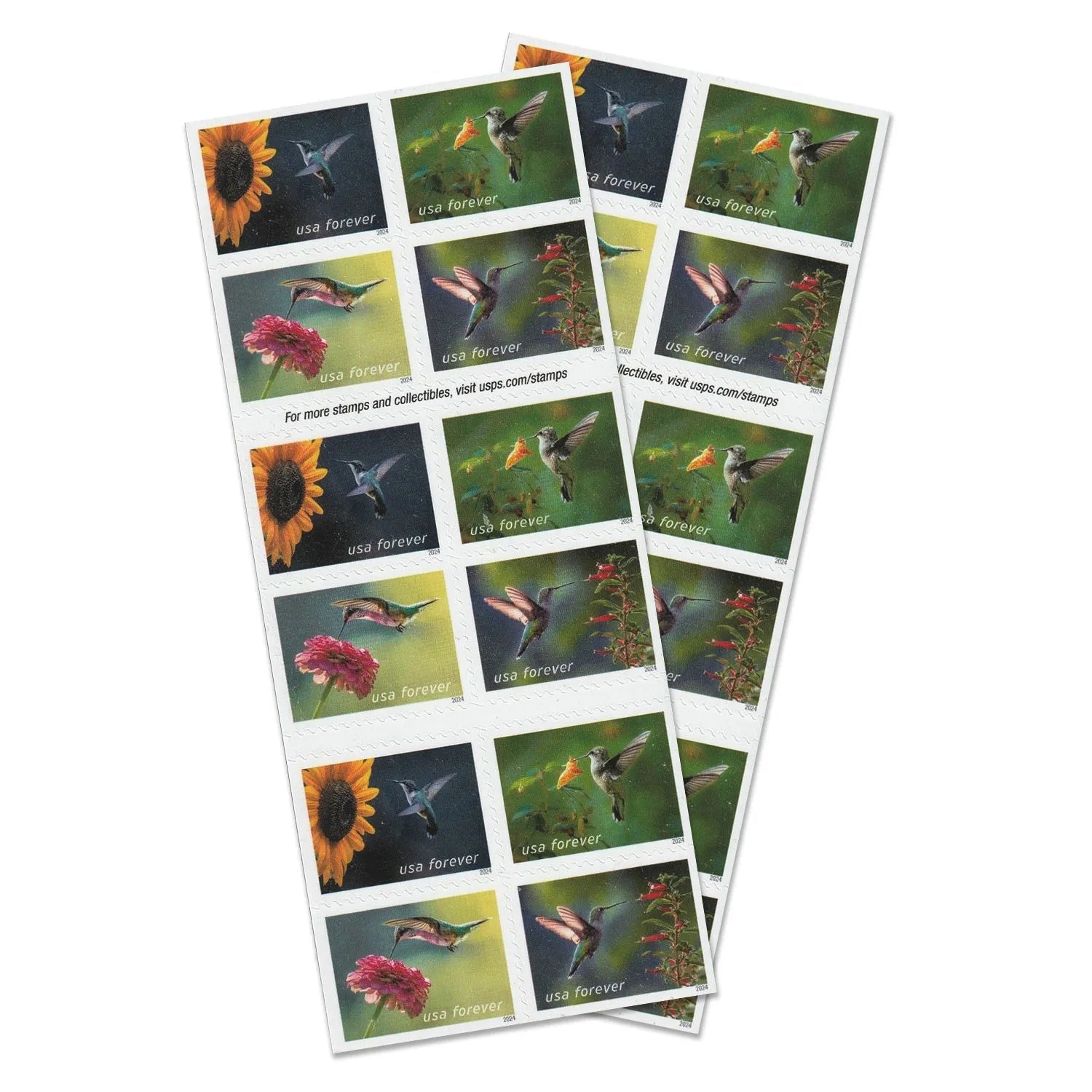 2024 Garden Delights Forever First Class Postage Stamps