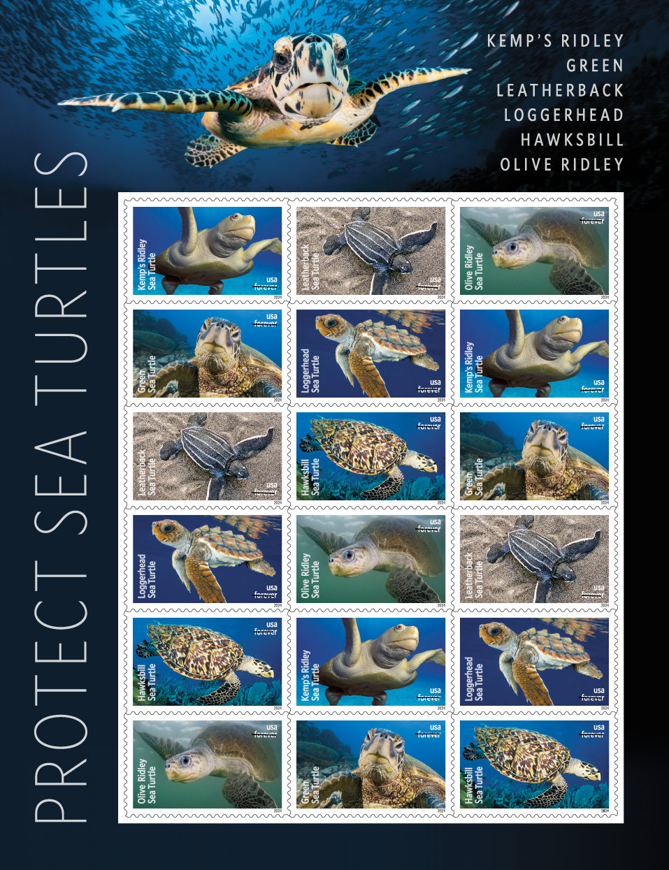 Protect Sea Turtles Forever Stamp (5 Sheets ) 90 stamps