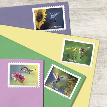 2024 Garden Delights Forever First Class Postage Stamps