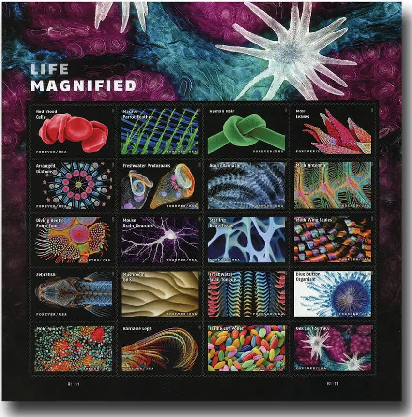 LIFE MAGNIFIED Forever Stamp (5 Sheets ) 100 stamps