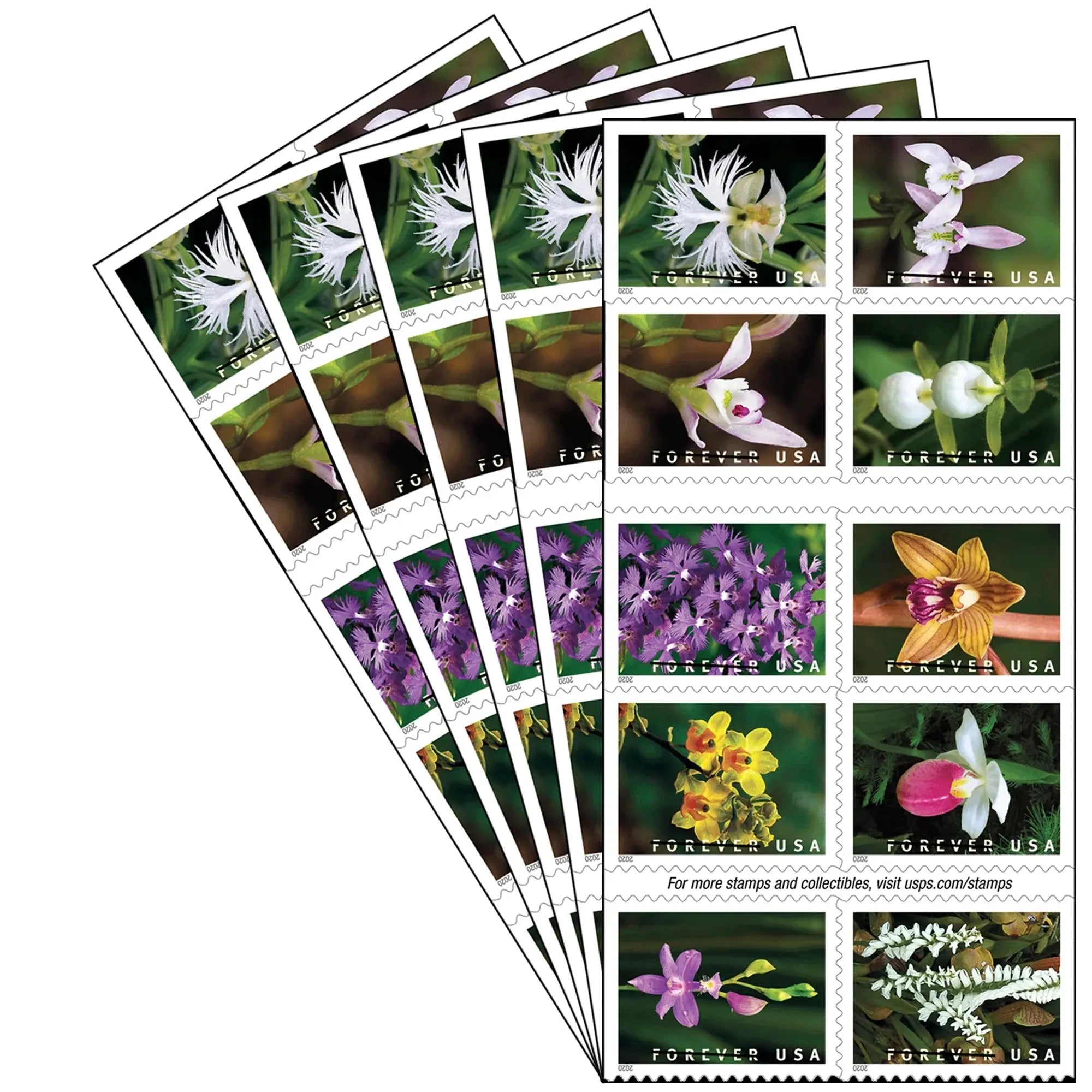 Wild Orchids Forever Stamps 2020 | 100 USPS Collectible
