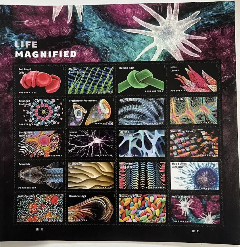 LIFE MAGNIFIED Forever Stamp (5 Sheets ) 100 stamps
